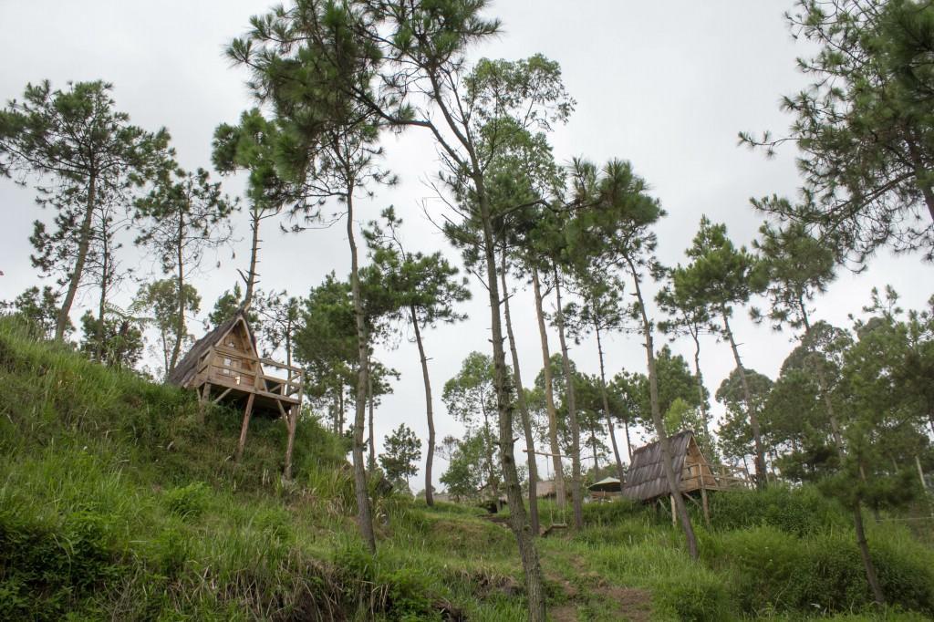 Отель Papandayan Camping Ground Cileuleuy Экстерьер фото