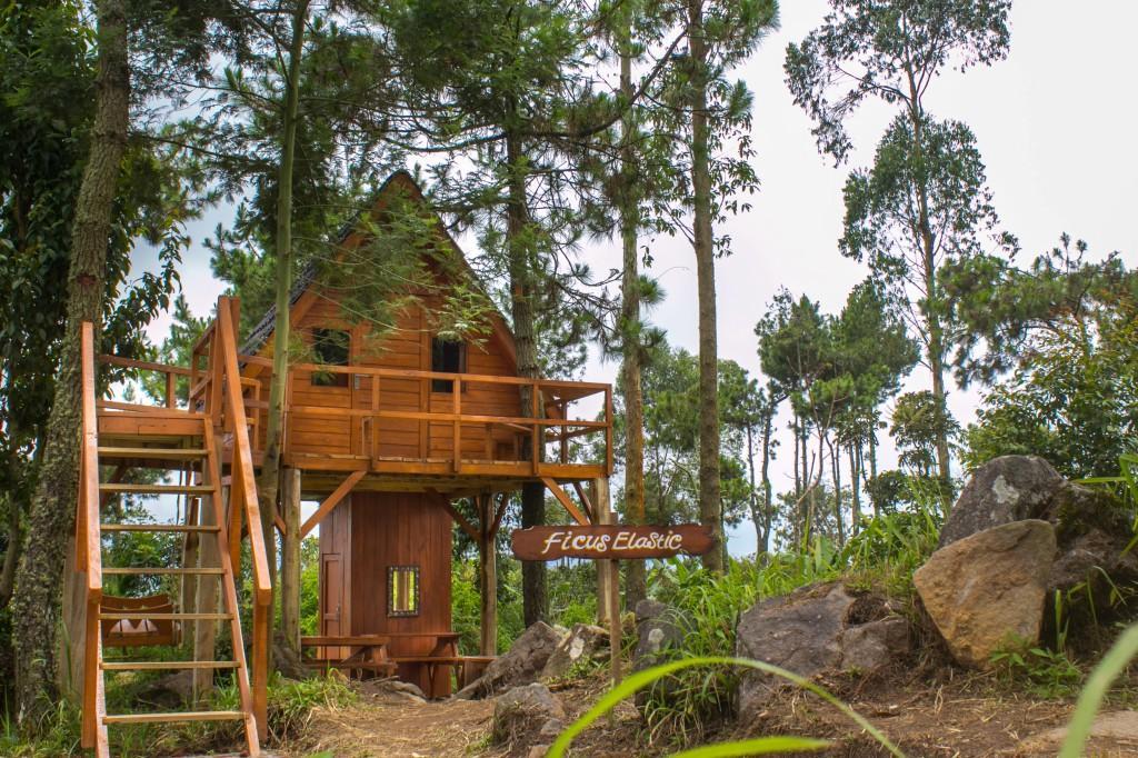Отель Papandayan Camping Ground Cileuleuy Экстерьер фото