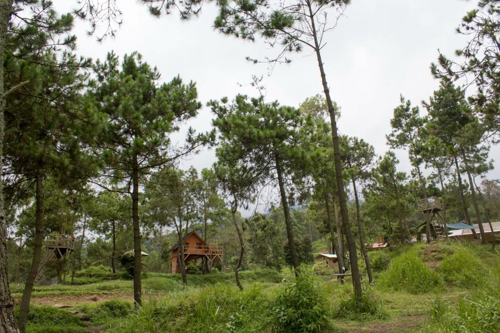 Отель Papandayan Camping Ground Cileuleuy Экстерьер фото